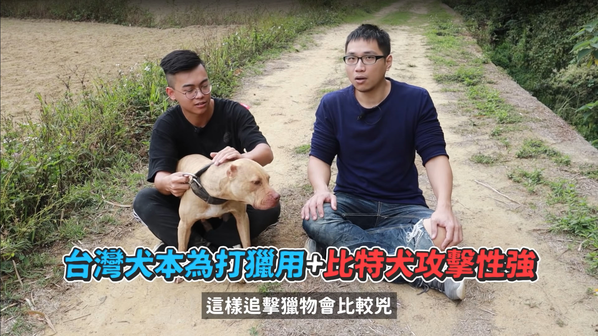 比特犬】比特犬拔河!咬合驚人!咬住不放!即將被禁養的原因?被咬如何自保?Pit Bull - 許伯與簡芝- 倉鼠人｜從零開始養